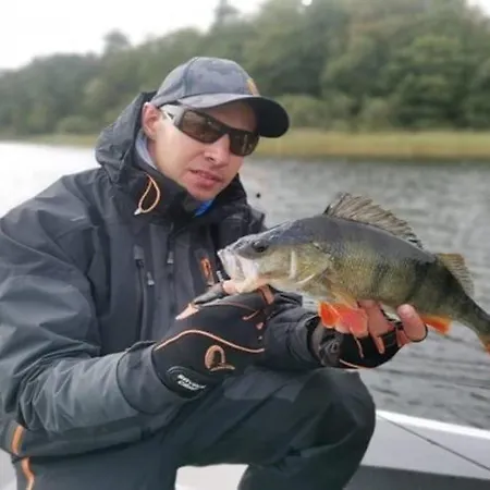 In Swiecianowo Near Zegocino