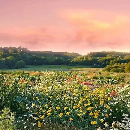 In The Countryside, Quiet, Private Garden * Zegocino