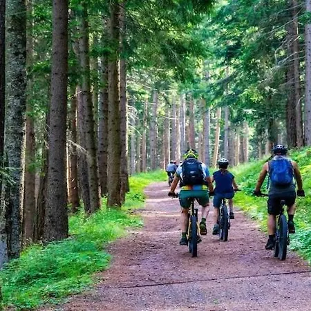 In Swiecianowo Near 펜션 *